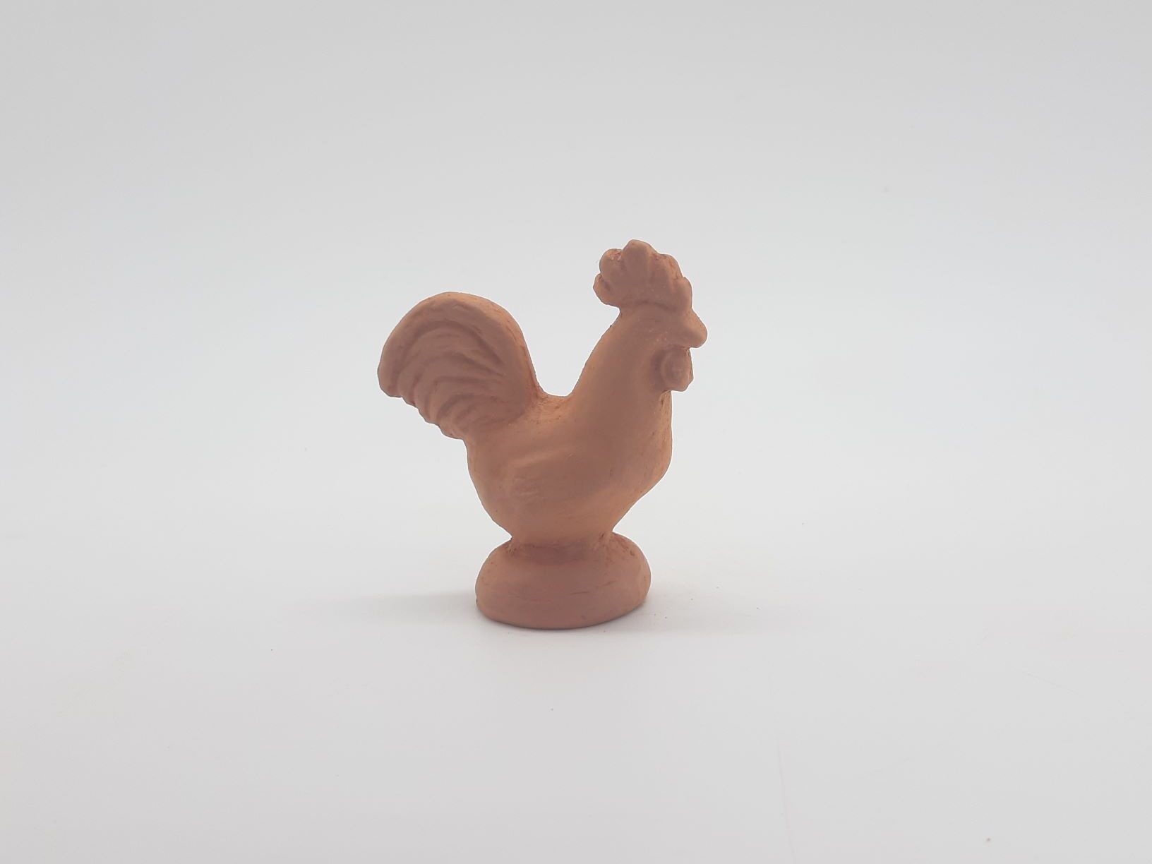 Coq