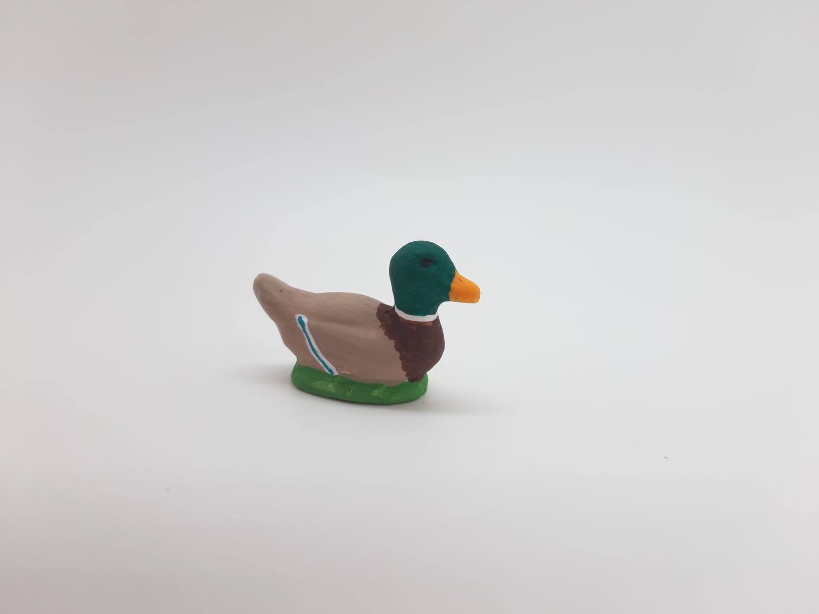 Canard – Colvert